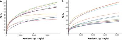 Diversity and Dynamics of Epidermal Microbes During Grape Development of Cabernet Sauvignon (Vitis vinifera L.) in the Ecological Viticulture Model in Wuhai, China